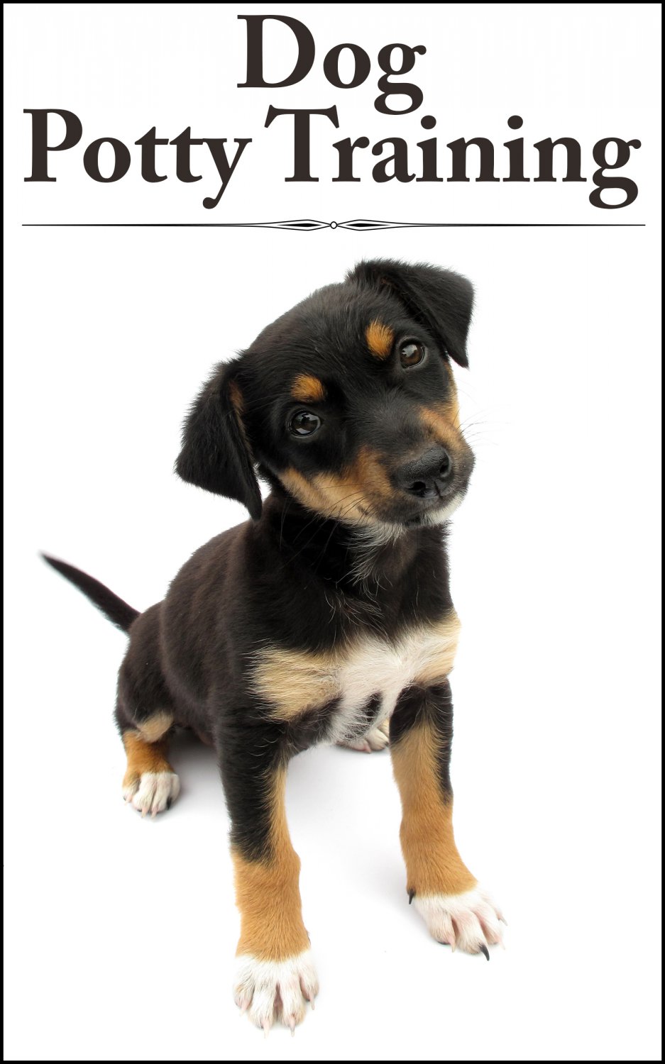 DOG POTTY TRAINING - Teaching Your Pup The Right Ways - eBook