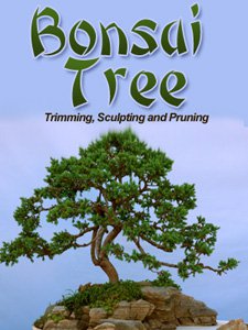 Bonsai Trees: Growing, Trimming, Pruning, and Sculpting - Ebook