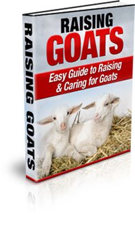 Raising Goats - Easy Guide to Raising & Caring for Goats - Ebook