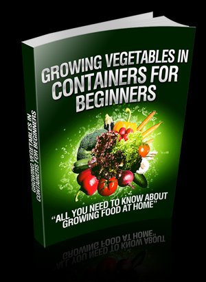 Growing Vegetables In Containers For Beginners - eBook