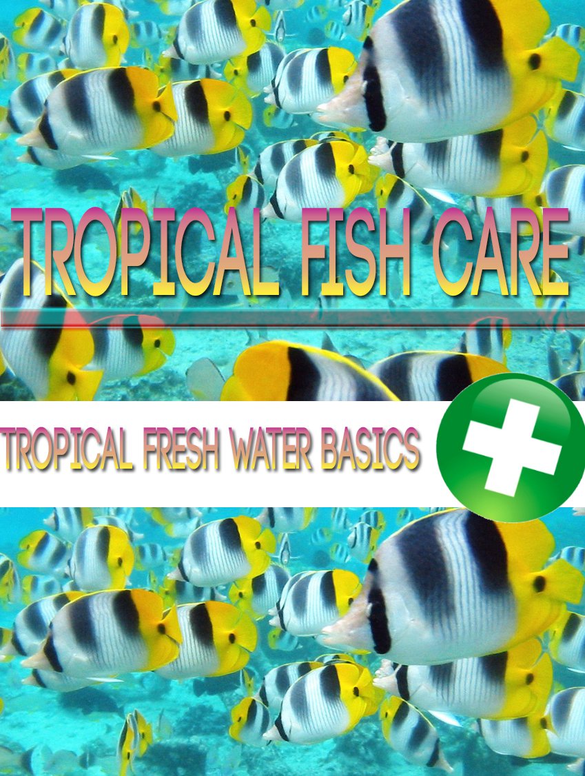Tropical Fish Care - Ebook