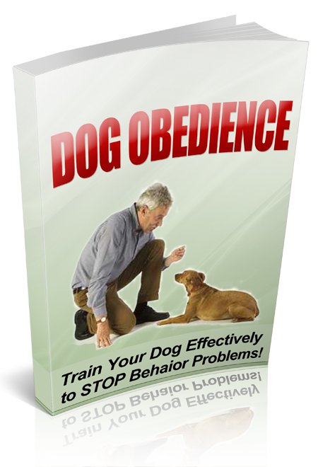 Dog Obedience Training Guide - Ebook