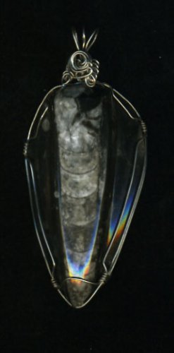 Orthoceras Fossil Pendant