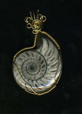 Ammonite Fossil Pendant