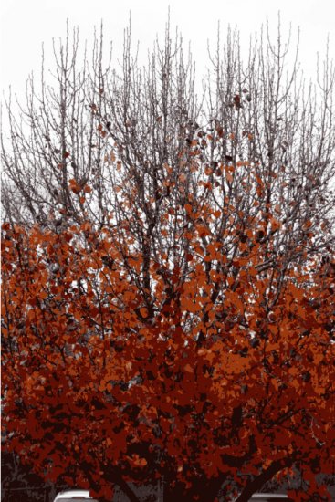 Fall in Arkansas - photograph greeting cards - box of 8