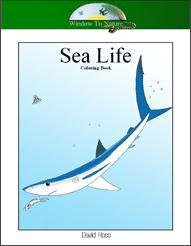 Sea Life Coloring Book