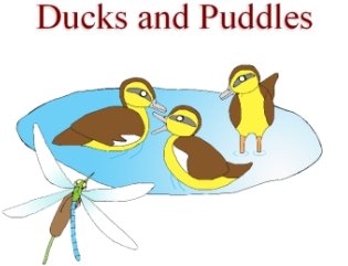 Ducks and Puddles and Coloring Book