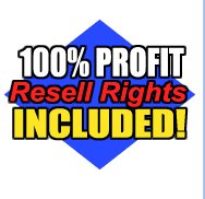Xbox, Playstation 2, and Gamecube Cheats and Secrets + Resale Rights