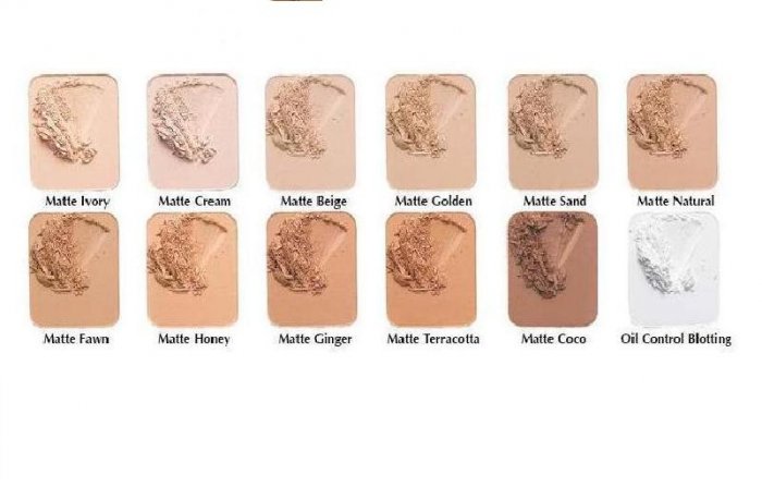Oil Free Pressed Powder Refill Pan only