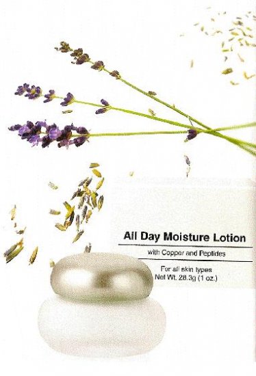 All Day Moisturize Lotion
