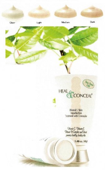 Heal and Conceal