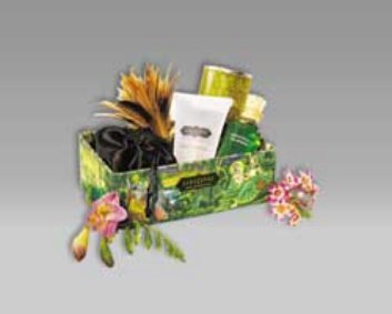 Love Essentials Kit