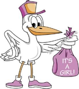 IT'S a GIRL, Stork, -- MATERNITY shirt, (2xLarge or 3xLarge)