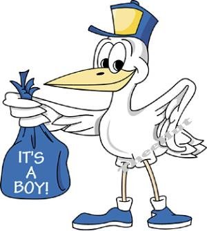 IT'S a BOY, Stork, -- MATERNITY shirt, (2xLarge or 3xLarge)