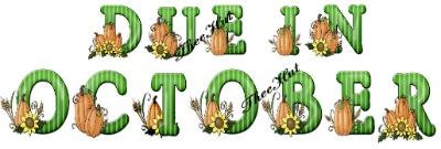 DUE in OCTOBER, pumpkin harvest -- MATERNITY shirt, (2xLarge or 3xLarge)