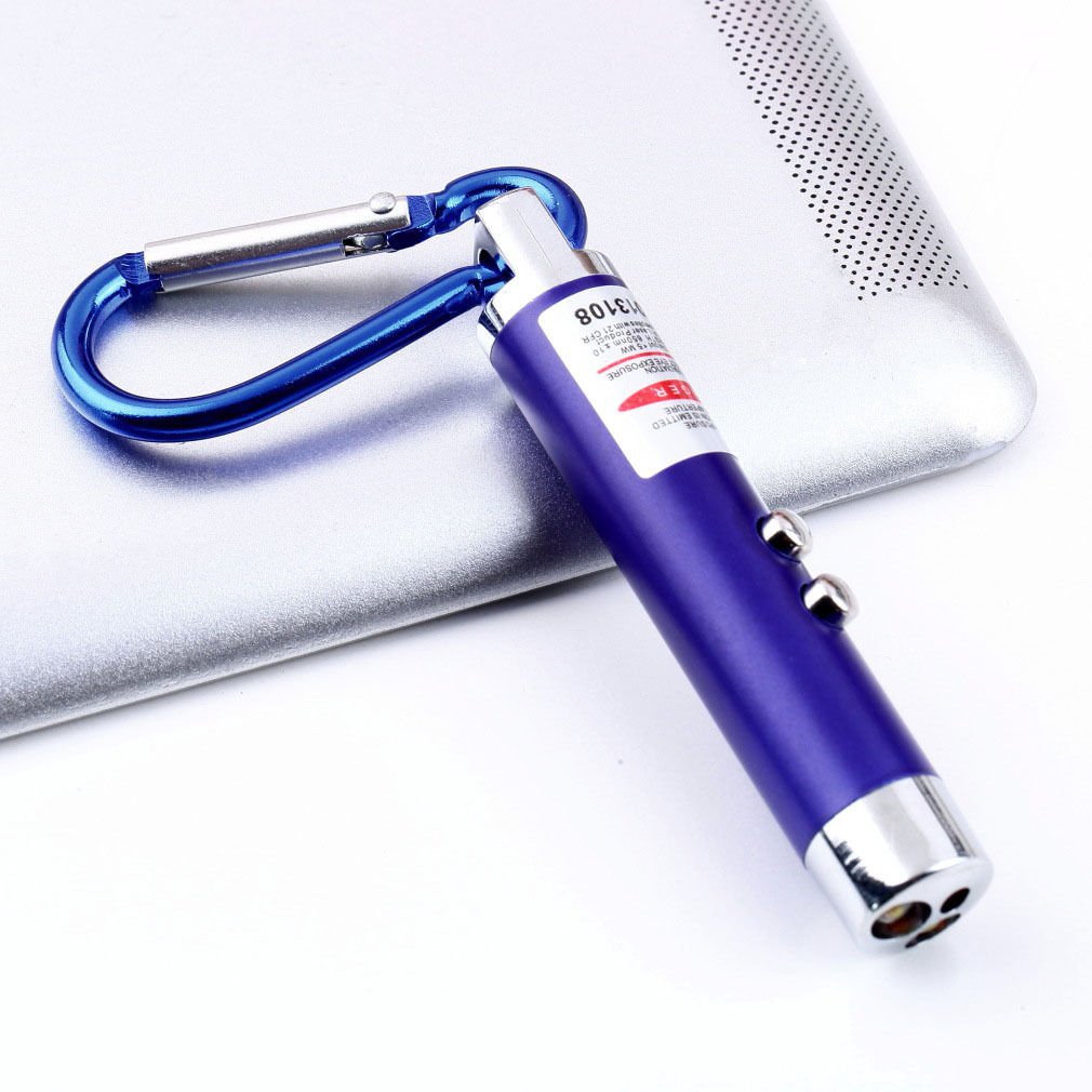 2 x Mini 2in1 1mW LED Laser Pen Flashlight Torch Beam Light Keychain db