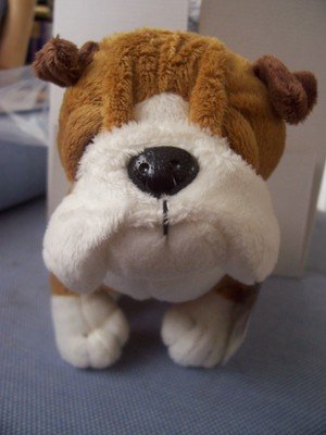 WEBKINZ Bull dog Bulldog