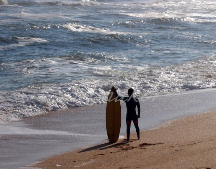 Lone Surfer - Original Fine Art Photograph