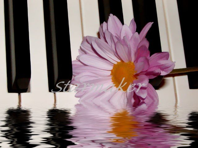 Sounds of Nature - Oriiginal Award-Winning Fine Art Photograph