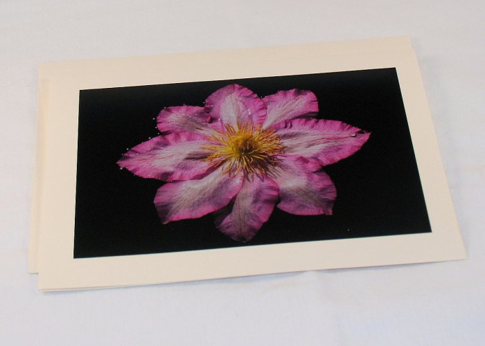 Clematis 2 - Original Fine Art Photograph Photocard