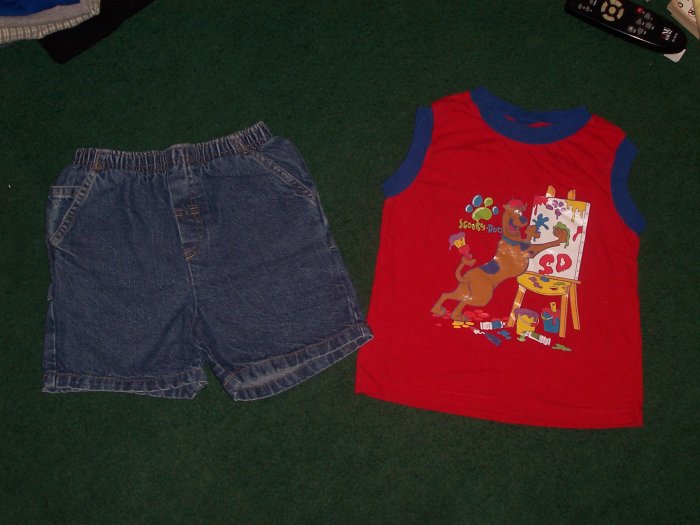 Cute Boys Shorts Outfit Size 4T