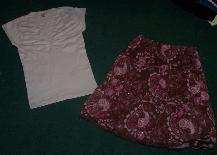 Nice Skirt and Blouse Outfit