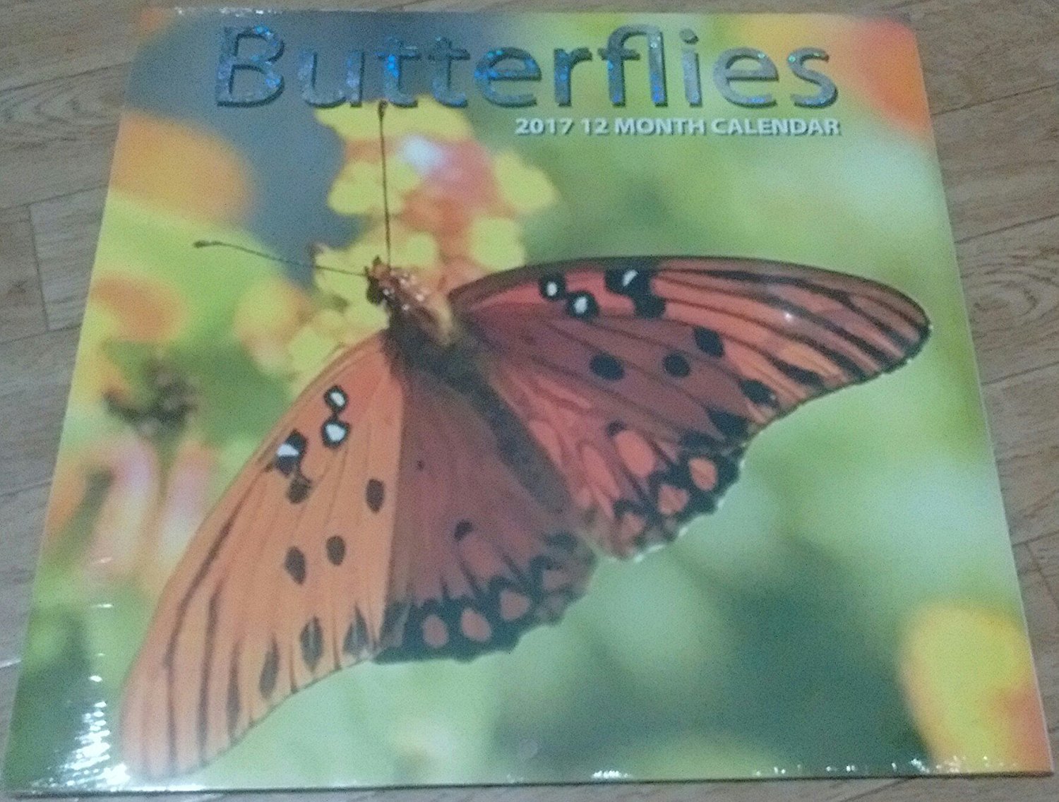Butterflies 2017 12 Month Calendar