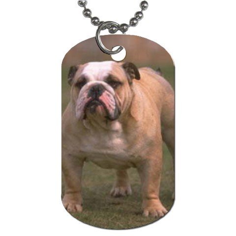 Bulldog Bull Dog Dog Tag Necklace Chain - 12099475