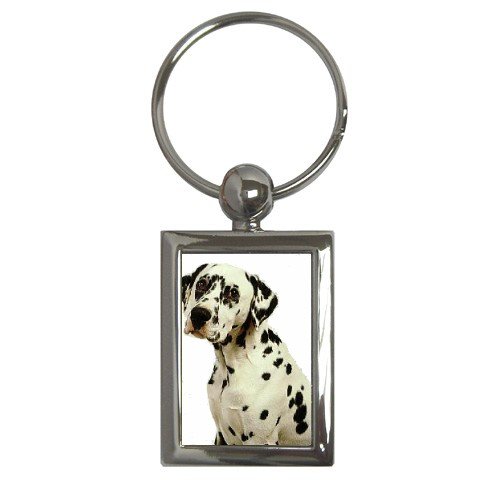 Dalmatian Key Chain Rectangle 12100114