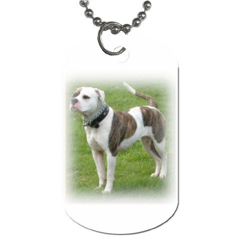 American Bulldog Dog Tag Necklace Chain - 12099479