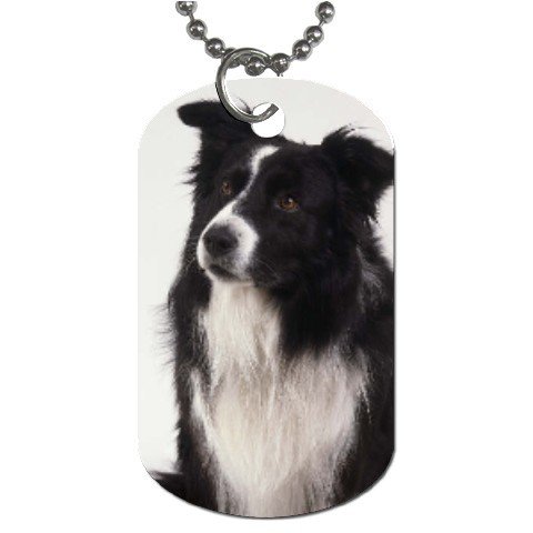 Border Collie Dog Tag Necklace Chain - 12142757