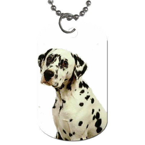Dalmation Dog Tag Necklace Chain - 12100117