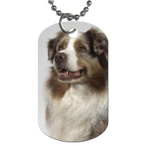 Australian Shepherd Dog Tag Necklace Chain - 12102634