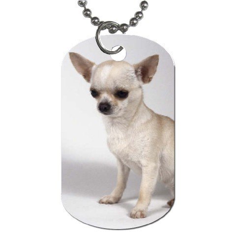 Chihuahua Dog Tag Necklace Chain - 12102683