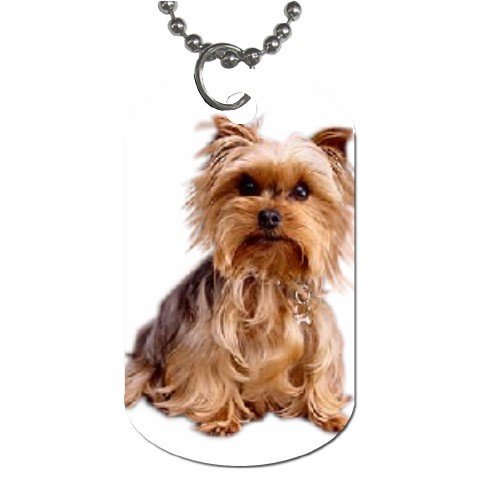 Yorkshire Terrier Yorkie Dog Tag Necklace Chain - 12111027