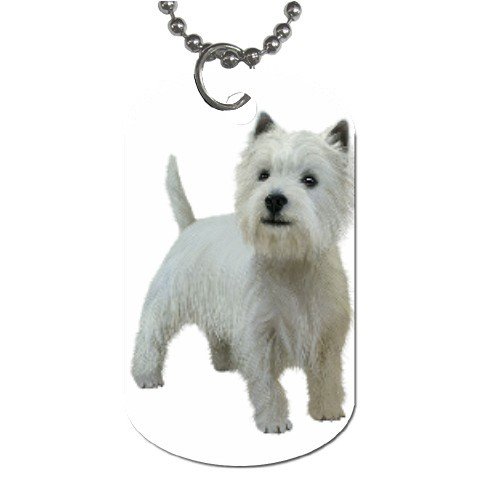 West Highland White Terriers - Westies - Dog Tag Necklace Chain - 12111844