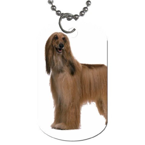 Afghan Hound Dog - Dog Tag Necklace Chain - 12112194