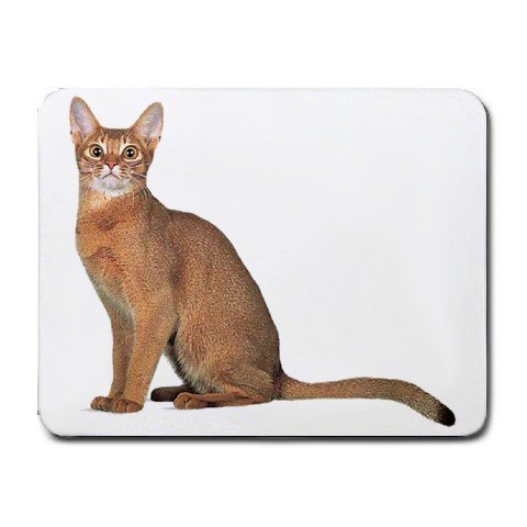 Abyssinian Cat Pet Lover Small Mousepad 12168362