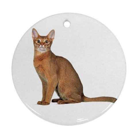 Abyssinian Cat Pet Lover Ornament Round 12168364