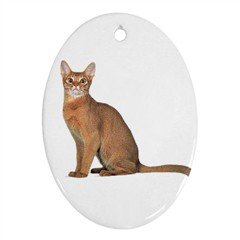 Abyssinian Cat Pet Lover Ornament Oval 12168365