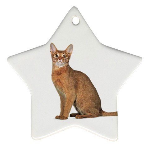 Abyssinian Cat Pet Lover Ornament Star 12168367