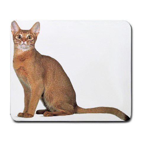Abyssinian Cat Pet Lover Large Mousepad 12168390