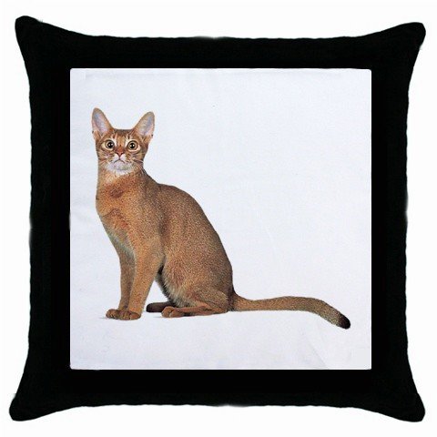 Abyssinian Cat Pet Lover Throw Pillow Case Black 12168392