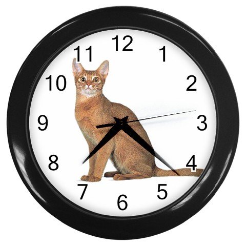 Abyssinian Cat Pet Lover Wall Clock Black 12168393