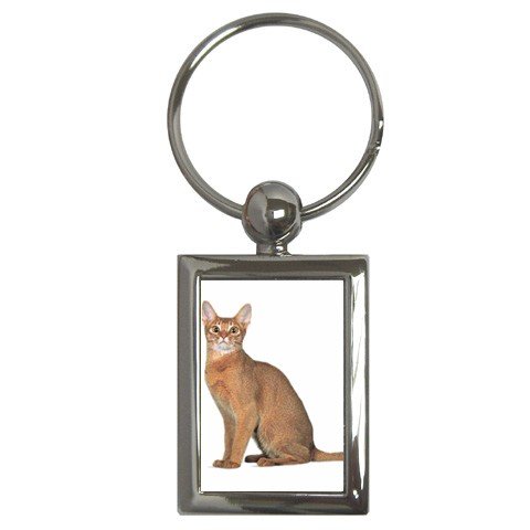 Abyssinian Cat Pet Lover Key Chain Rectangle 12168400