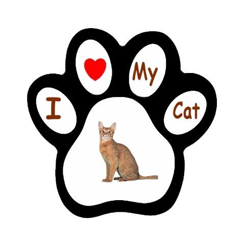 Abyssinian Cat Pet Lover Paw Print Magnet 12168406