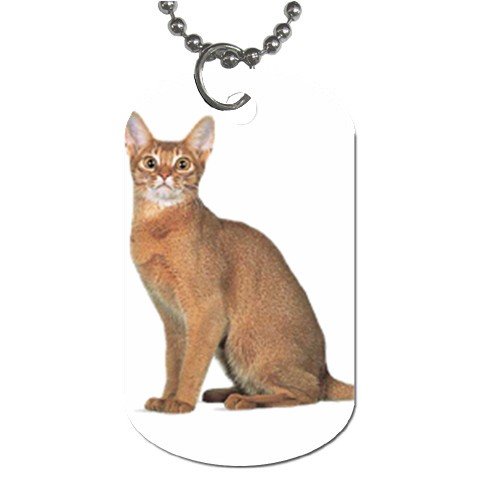 Abyssinian Cat Pet Lover Dog Tag Necklace Chain 12168407