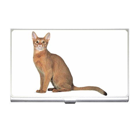 Abyssinian Cat Pet Lover Business Card Holder Case 12168409