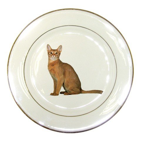 Abyssinian Cat Pet Lover Porcelain Plate 12168424