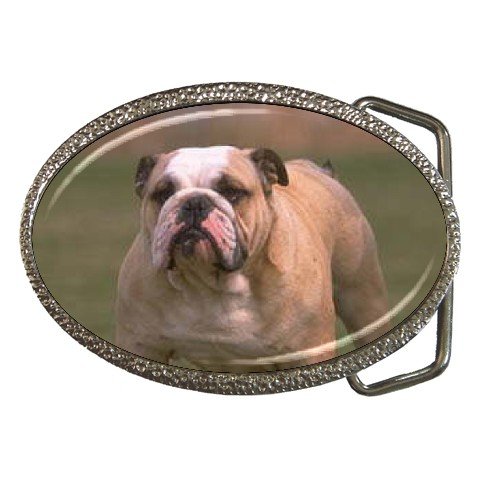 Bulldog Bull Dog Belt Buckle Pet Lover 12124825